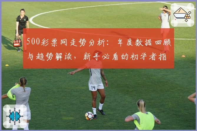 500彩票网走势分析：年度数据回顾与趋势解读，新手必看的初学者指导