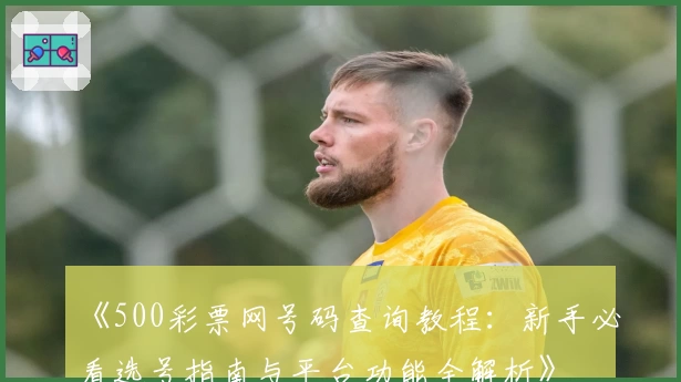 《500彩票网号码查询教程：新手必看选号指南与平台功能全解析》