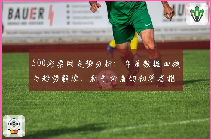 500彩票网走势分析：年度数据回顾与趋势解读，新手必看的初学者指导